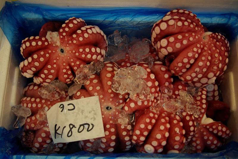 Octopus at the Tsukiji market.