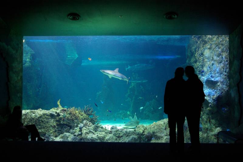 Edel and Teresa at the Sydney aquarium.
