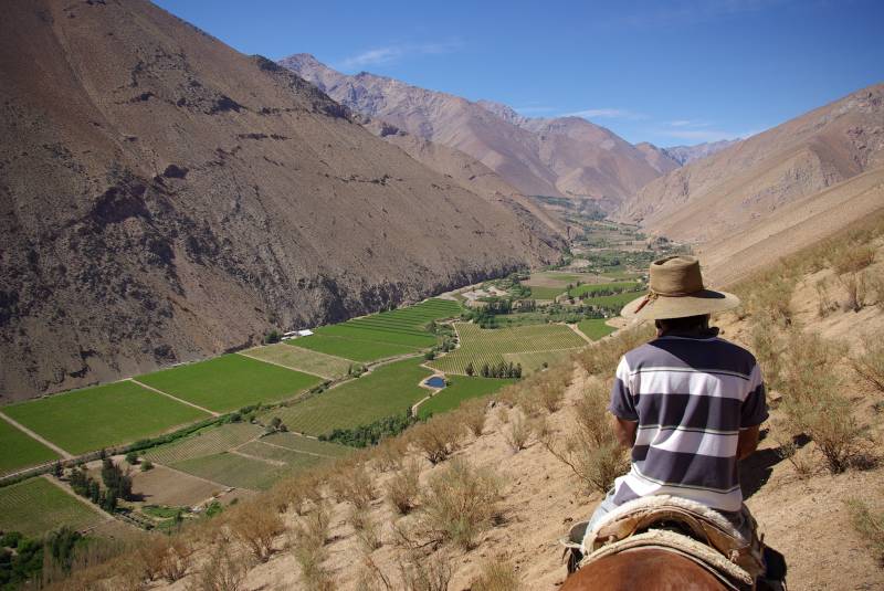 The Elqui valley.