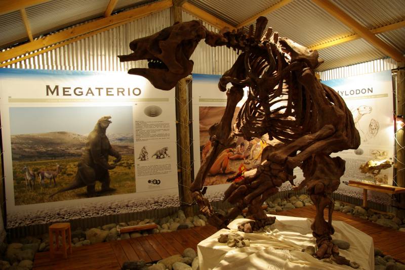 Megatherium ground-sloth.